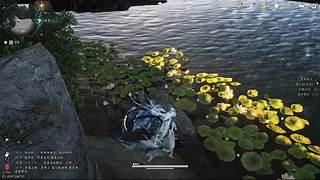 新的开始新的人生 11643816