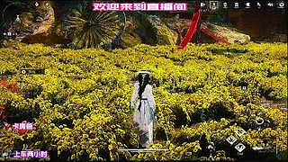 路人队友迷惑操作，全程高能