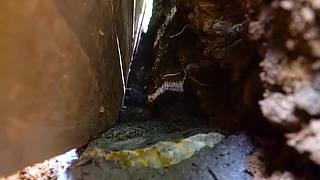 全小哥野外建造