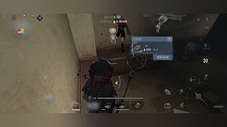 椿之岛的直播间2952