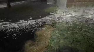 失眠症福音~~~~~~~~~~~