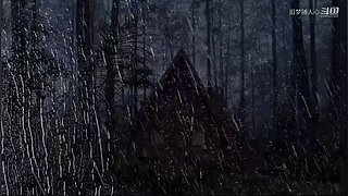旧梦随人心的直播间
