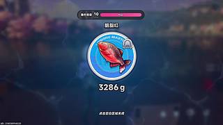 纪念册纪念