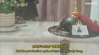 喜欢我的视频或想和我玩，请关注，打赏我哟