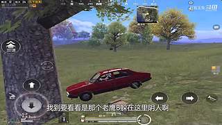 月殿玉兔直播间