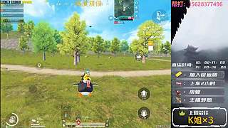 【帮打/带粉】