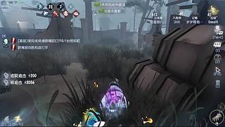 每天排位等你哟
