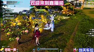 奇遇任务分支选择解析