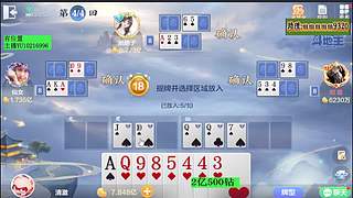 今天继续赢豆