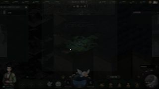 随便玩玩，随便播播 12743929