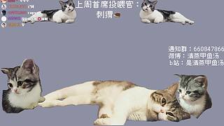 甲鱼：电子伊迪恢复中心