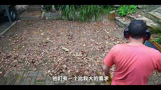 华为发布会 厉害邀请你连麦一起看