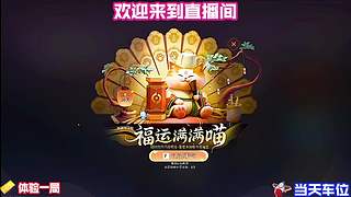 奇遇任务分支选择解析