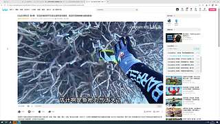 专注于己宽容于世