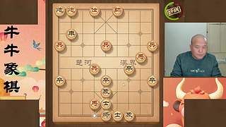 牛牛象棋直播中