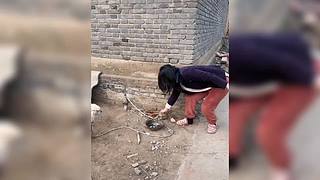 动物迷惑行为大赏