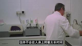 【牛叔】N分钟带你看完大片