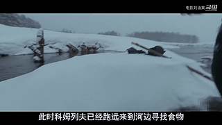老刘带你看大片