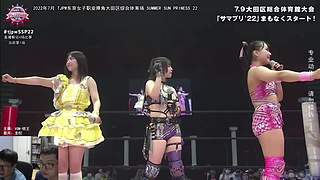 【聊天室】日本女子摔角