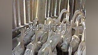 起来啦小躺的直播间