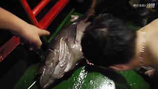 中国海钓王游钓世界