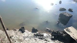 渔妹带你来赶海，来看有没有你没见过的