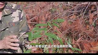 娱乐大于一切 10440627