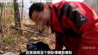 线上狄仁杰