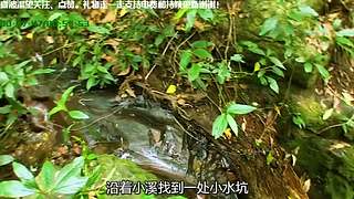 线上狄仁杰