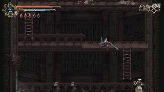 魔兽世界 WOW 德鲁伊