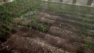失眠症福音~~~~~~~~~~~