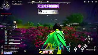 神兽坐骑外观染色技巧