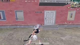 月殿玉兔直播间
