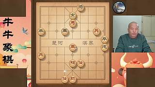 牛牛象棋直播中