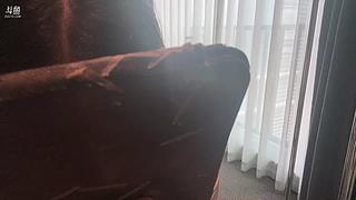 遇见你是我的幸运 ~