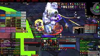 魔兽世界怀旧服 哈霍兰40人NAXX