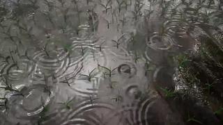 失眠症福音~~~~~~~~~~~