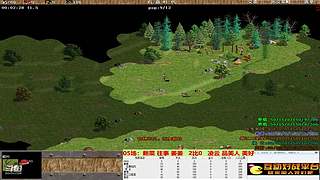 要情直播间