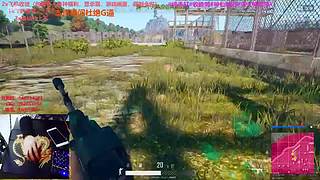 做牛做马的
