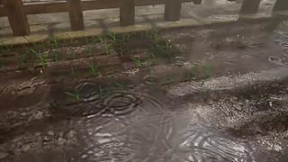失眠症福音~~~~~~~~~~~