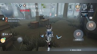 此间乐不思蜀