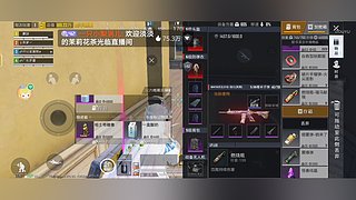 东北反差甜妹