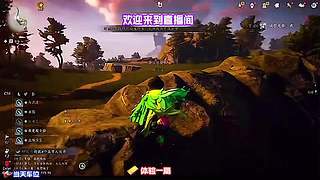 挑战不开大招通关整局游戏