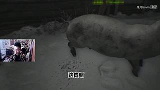 吃鸡加MC越玩越有