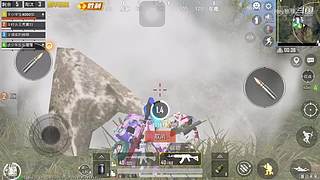 关注领取软糯香甜小萌柚