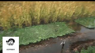 失眠症福音~~~~~~~~~~~