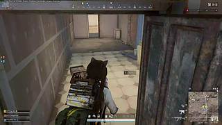 老四pubg的直播间