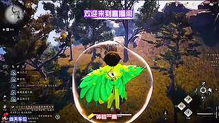 挑战不开大招通关整局游戏