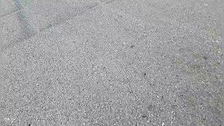 498）来嘉年华了