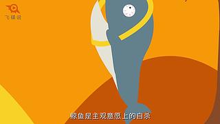 【飞碟说】一分钟了解知识